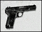 tokarev.gif