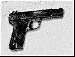 tokarev.gif